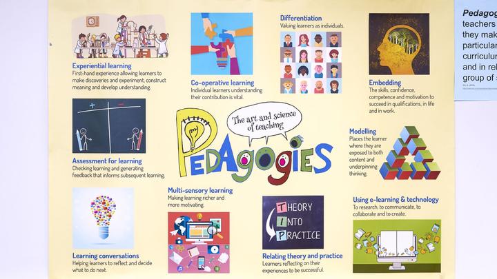 Pedagogies infographic