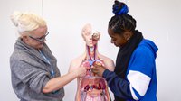 Health students working on a anatomical dummy