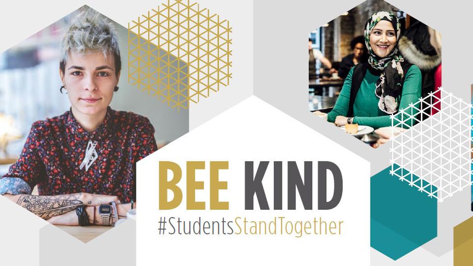 An image saying bee kind with two woman in a hexagon shape