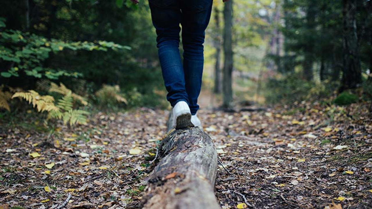 Close up of someone balancing on a tree trunk