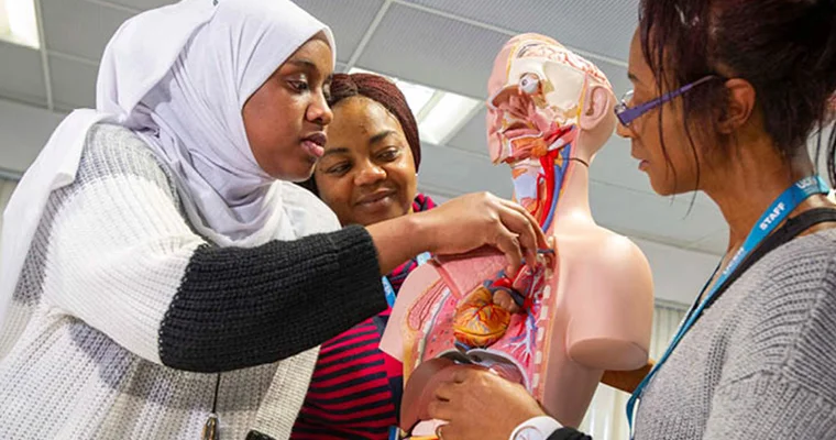 Medical learners working on a prototype