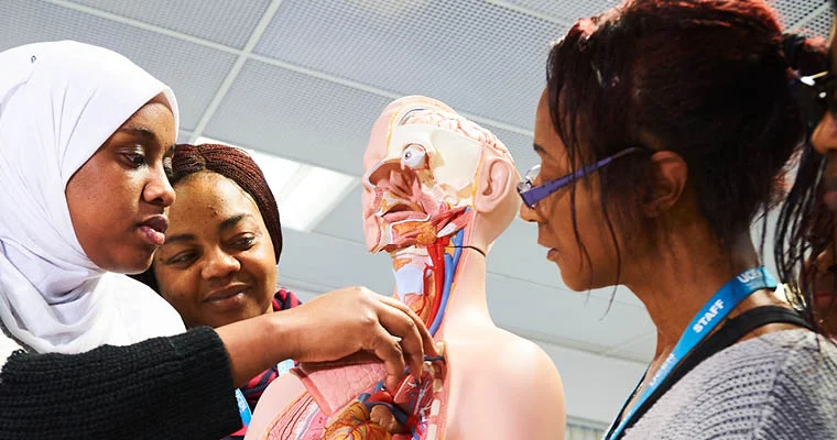 Individuals examine and interact with a detailed anatomical model of the human body.