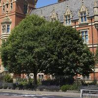 Exterior view of Nicholls campus