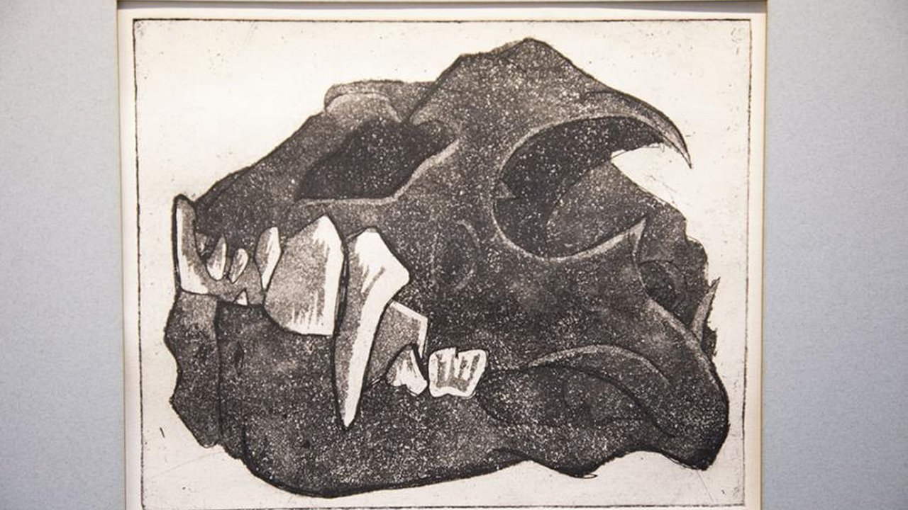 An artists impression of a dinosaur skull