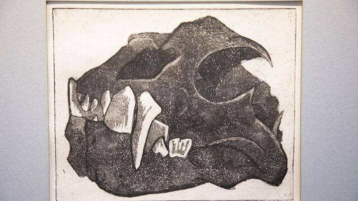 An artists impression of a dinosaur skull