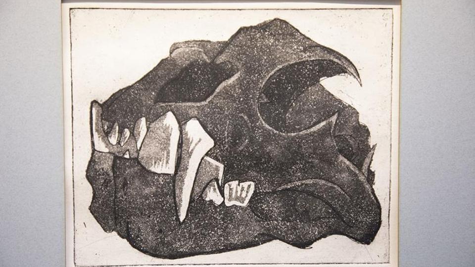 An artists impression of a dinosaur skull